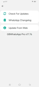 Gb whatsapp pro update screenshots